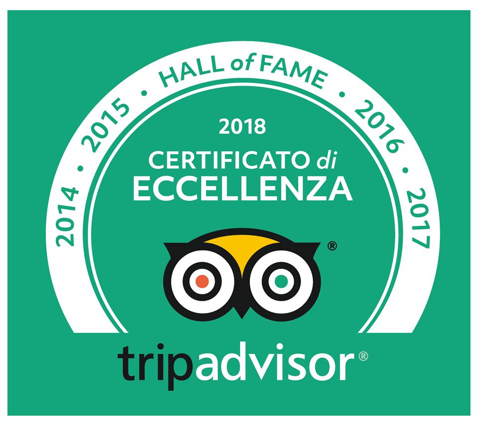 logo_tripadvisor